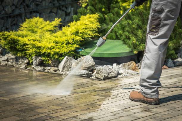 Boat and Dock Cleaning in Montgomery, TX